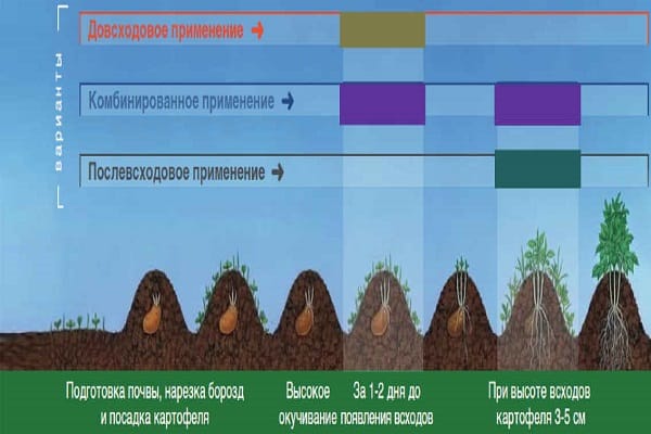 kerosakan metribuzin