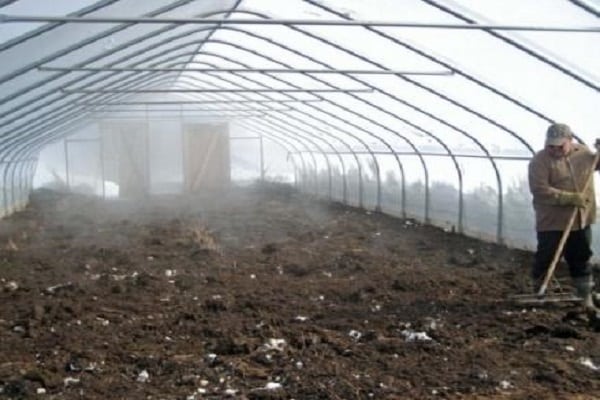 greenhouse disinfection