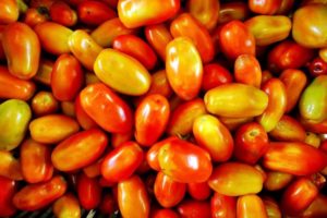 Description de la variété de tomate Irene, caractéristiques de culture et d'entretien