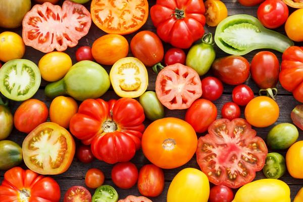 different varieties of tomato