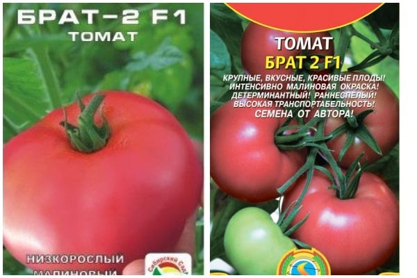 graines de tomates Brother 2 f1