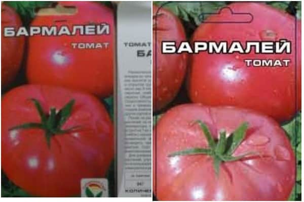 biji tomato Barmaley