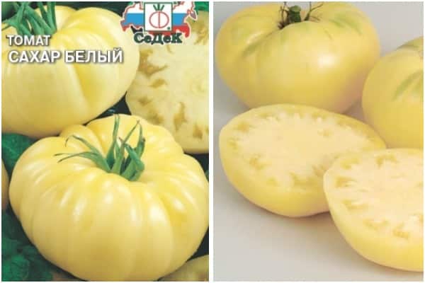 Tomato variety White Sugar