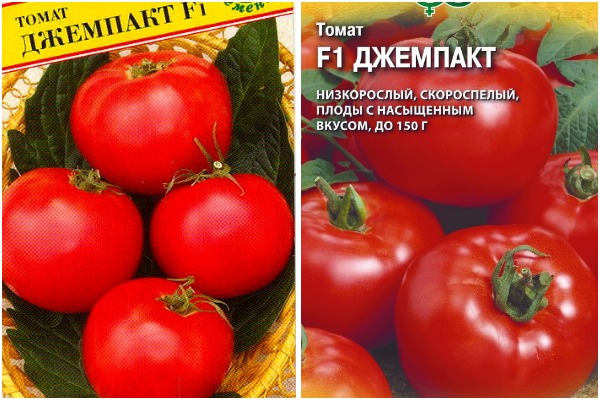 biji tomato Jempakt