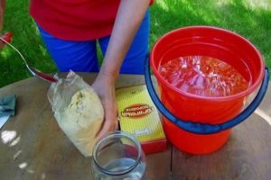 How to deal with the Colorado potato beetle folk remedies mustard and vinegar?