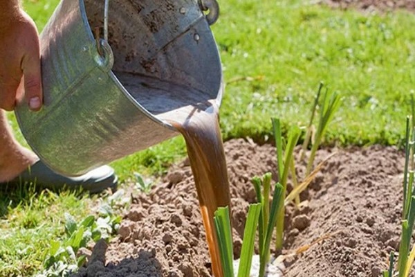 harvest from disease