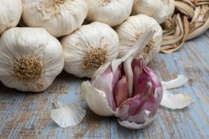 Description of the Sail garlic variety, cultivation and care