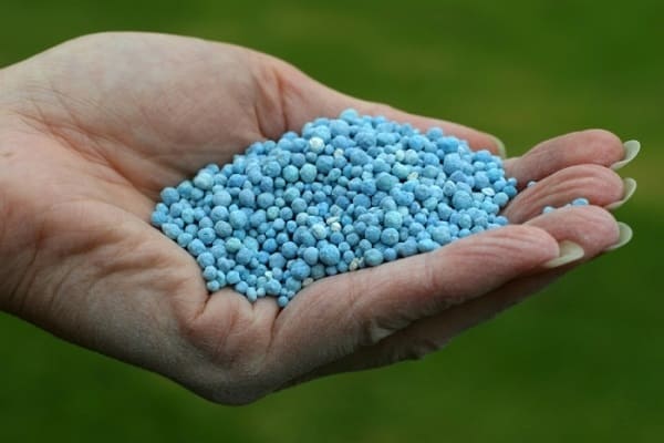 phosphate fertilizers