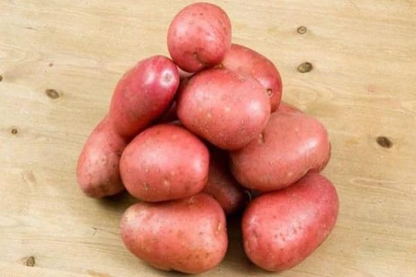 potato varieties