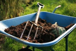 ¿Cómo utilizar estiércol de caballo, estiércol de vaca y estiércol de aves de corral como fertilizante?