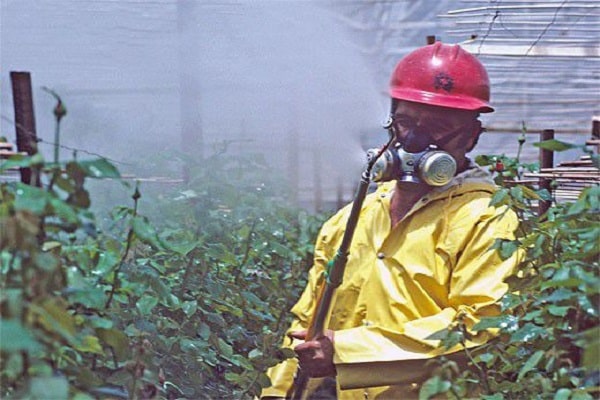 use of pesticides