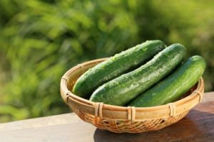 Description of the Atlet cucumber variety, features of cultivation and care