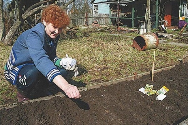 germination rate