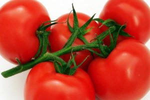 Description of the Subarctic tomato variety, its characteristics and cultivation