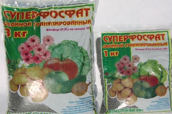 fertilizer superphosphate