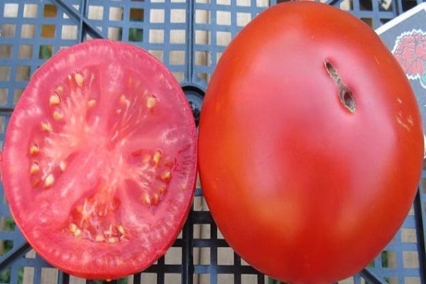 les tomates ne sont pas déformées