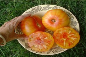 Description de la variété de tomate Ananas hawaïen, caractéristiques de culture et d'entretien