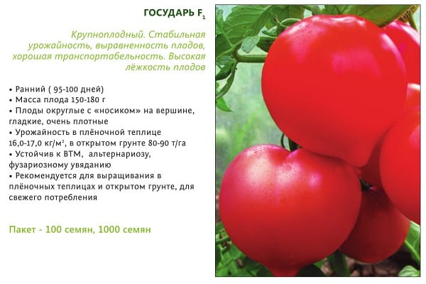 tomate souverain