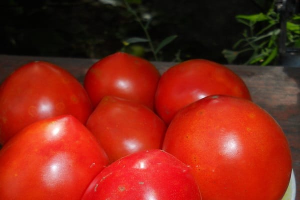 seigneur de la tomate