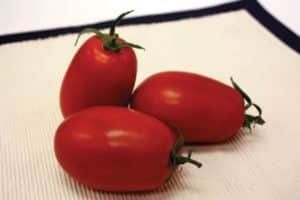 Description de la variété de tomate Marianna F1, ses caractéristiques et son rendement