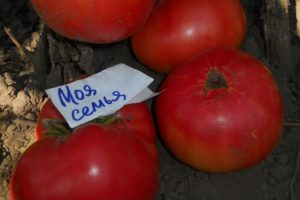 Description de la variété de tomate Ma famille, caractéristiques de culture et rendement