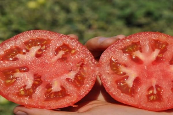 frutas pequeñas