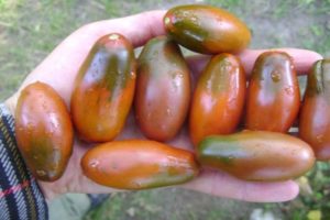 Description de la variété de tomate Icicle Black, caractéristiques de culture