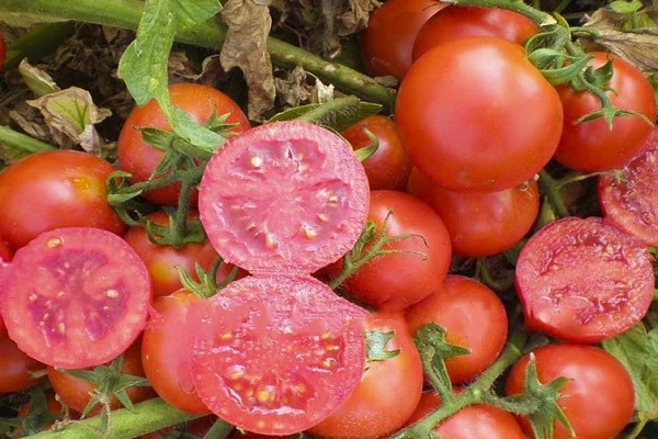 la tomate est caractérisée