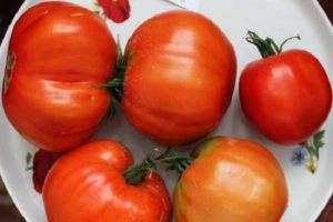 Descripción de la variedad de tomate Vovchik, características de cultivo y rendimiento.