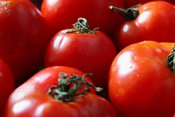 grew tomatoes