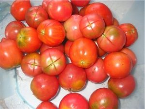 Description de la variété de tomate Kolkhozny, ses caractéristiques et son rendement