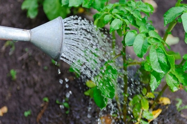 la science pour les jardiniers