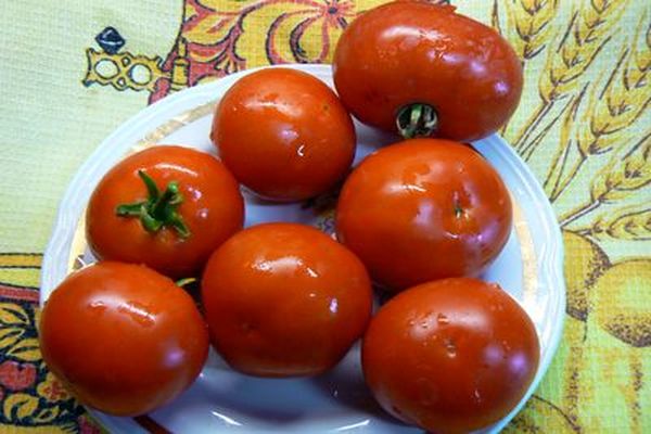 tomato on a plate