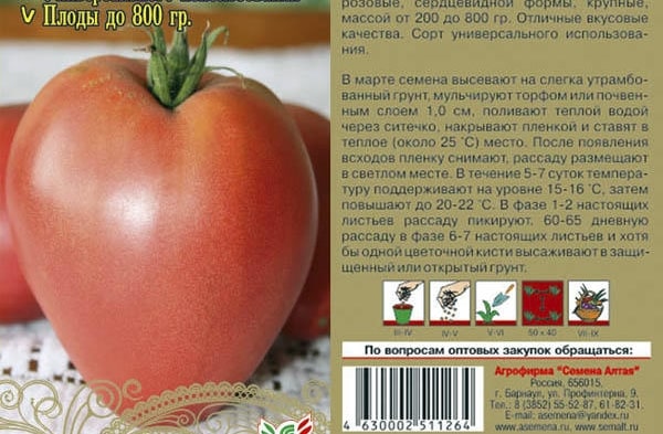 graines de tomates