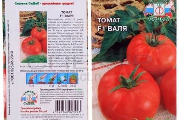 emballage de graines de tomate wal