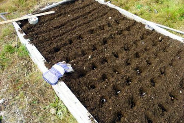 preparación del jardín