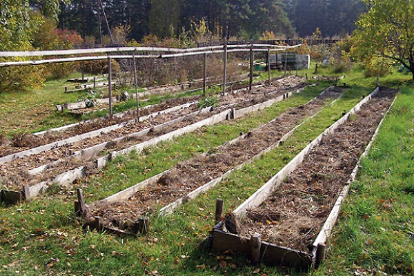 procesar el jardín