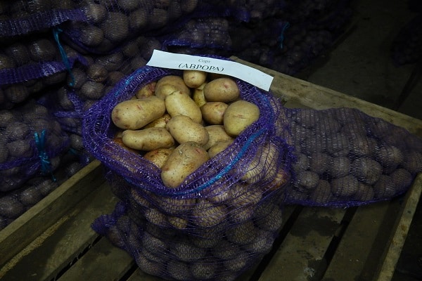 crumbly potatoes