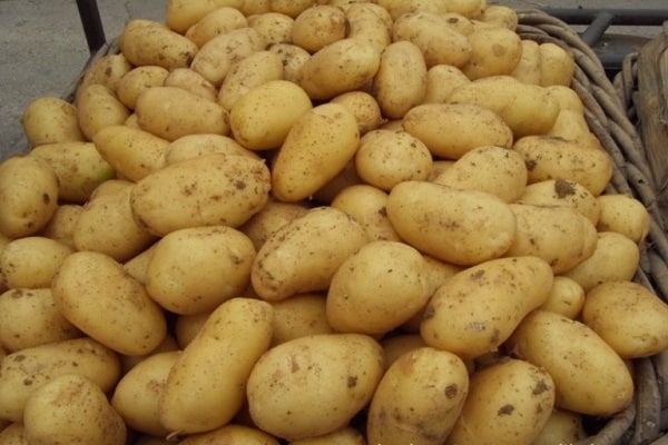 regular potatoes