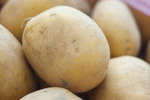 Description of the potato variety Meteor, features of cultivation and care