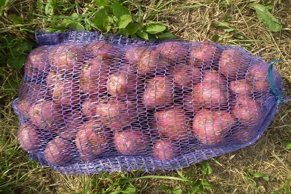 bag of potatoes