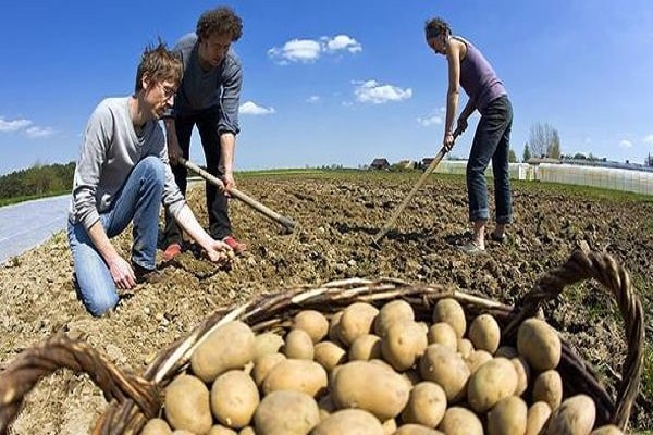 veľká veľkosť