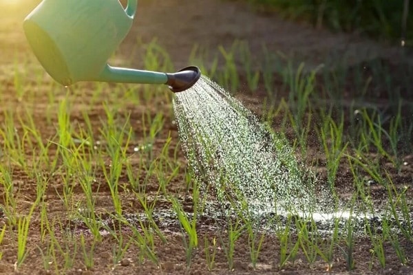 caractéristiques d'irrigation