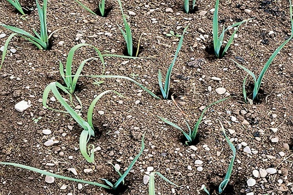 problèmes croissants