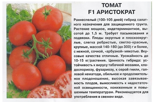 una breve descripción de la variedad de tomate Aristocrat