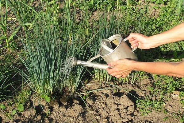 mesures agrotechniques