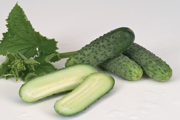 feed cucumbers