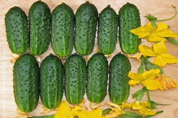 pepinos en la mesa