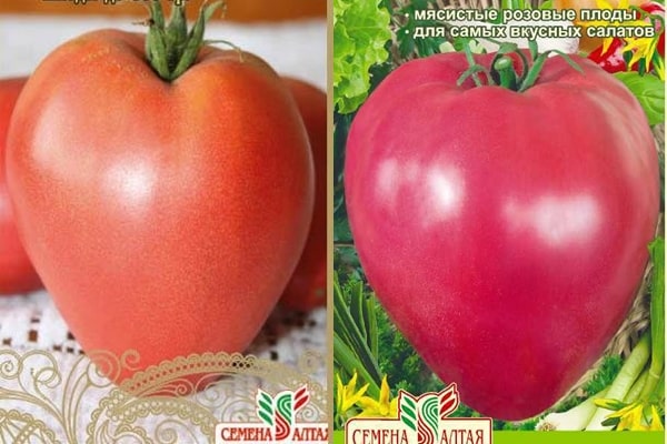 aspect de la tomate royale