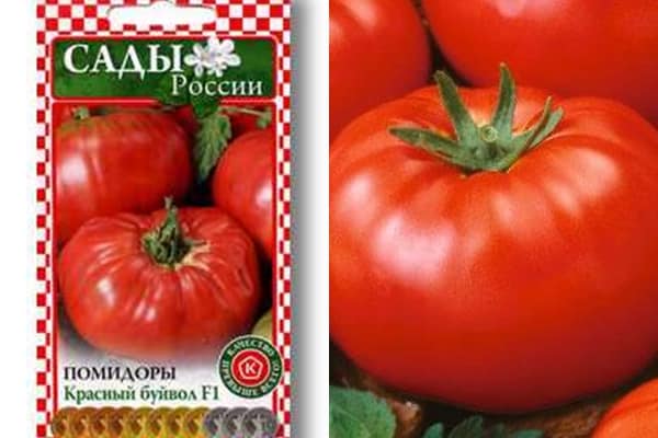 tomato seeds red buffalo